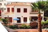 Image: Royal Palm, Los Cristianos