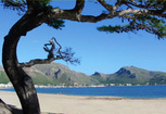 Image: 250 Privately Owned Villas