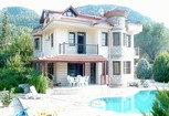 Image: Fig Tree Villa
