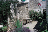 Image: Passeroses